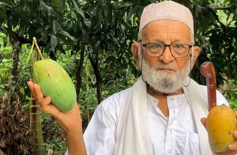 Amazing : Mango Man Unveiling the World’s Most Unique Tree, a Botanical Wonder