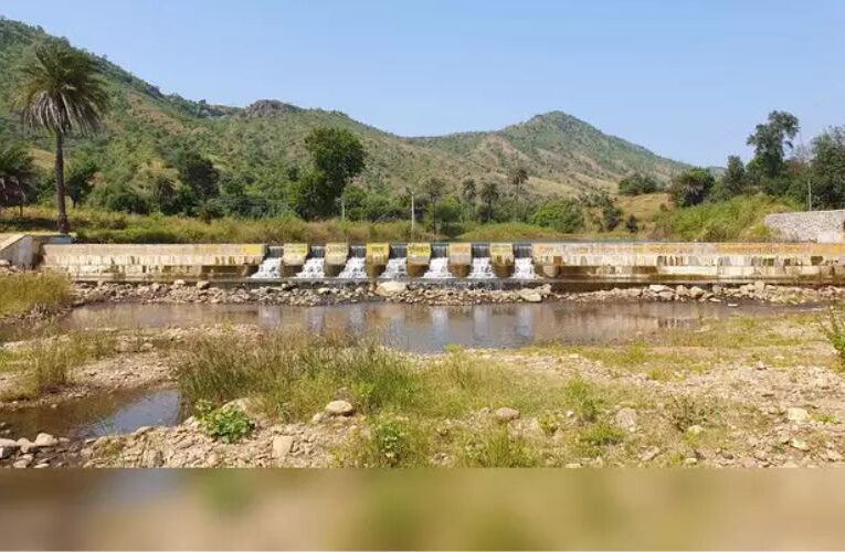 Turning Deserts into Gardens: Aravali’s Water Miracle with Strawberries and Flowers