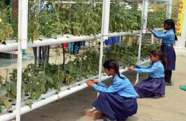 Green Revolution : Delhi NCR Schools Embrace Hydroponic Gardening for Students
