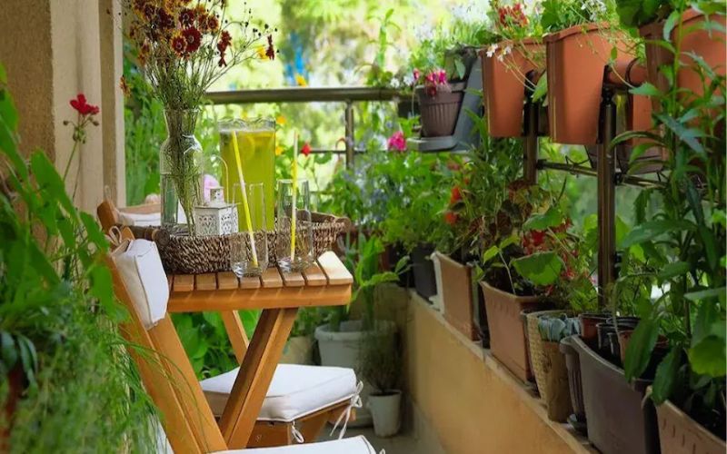 If you want to plant flowers and plants around your house