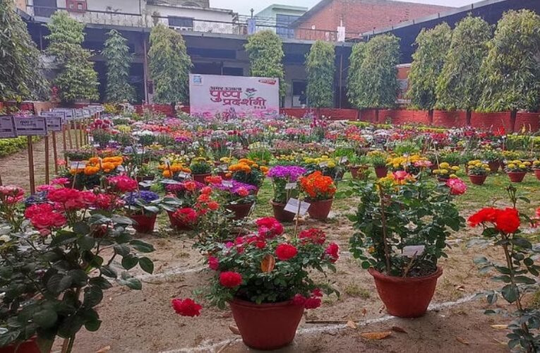 Amar Ujala Office Premises in Bareilly Turned Into Blooming Paradise for Three Days