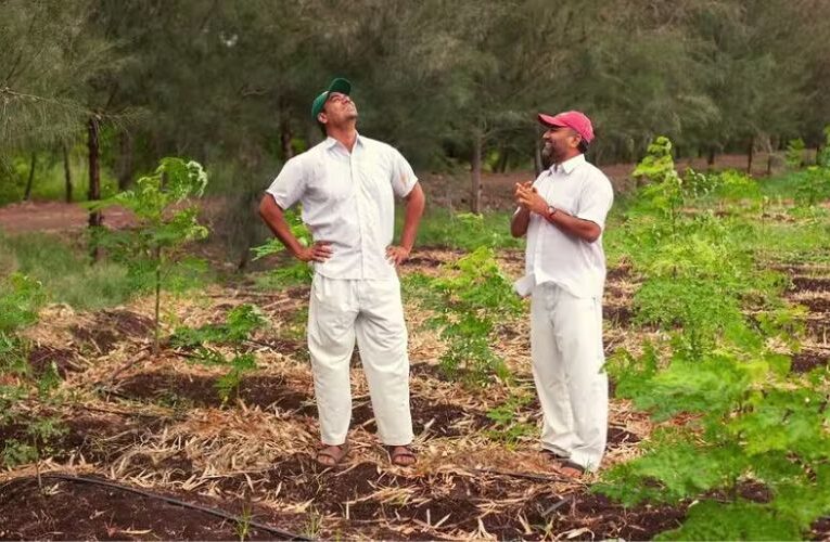 Brothers Break Away from Urban Life, Embrace Farming Roots in Bhodani Village