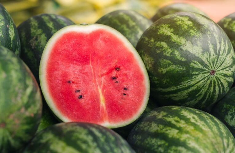 Summer Wealth: Essential Tips for Successful Watermelon Farming and Rich Harvests