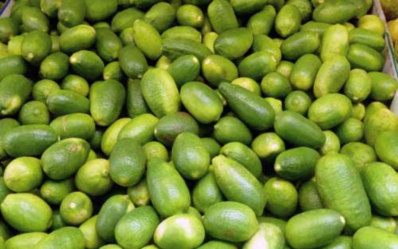The Assam government has given the status of state fruit to cashew lemon