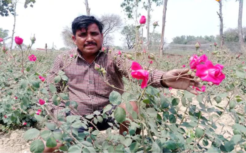 Farmers of Barabanki district of Uttar Pradesh are now earning better income from flower cultivation