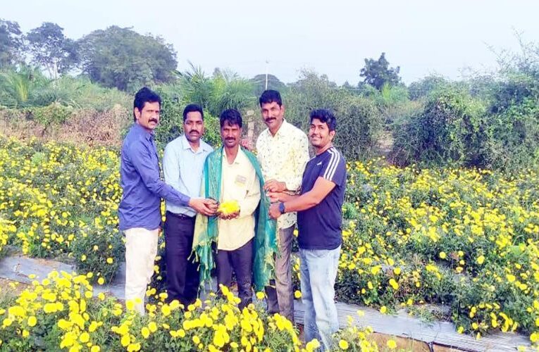 Blooming Initiative: Telangana Government Boosts Flower Production in Kothagudem