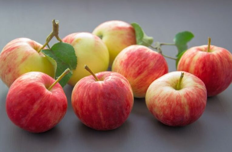 सेब के उत्पादन को लेकर वैज्ञान‍िकों को म‍िली बड़ी सफलता